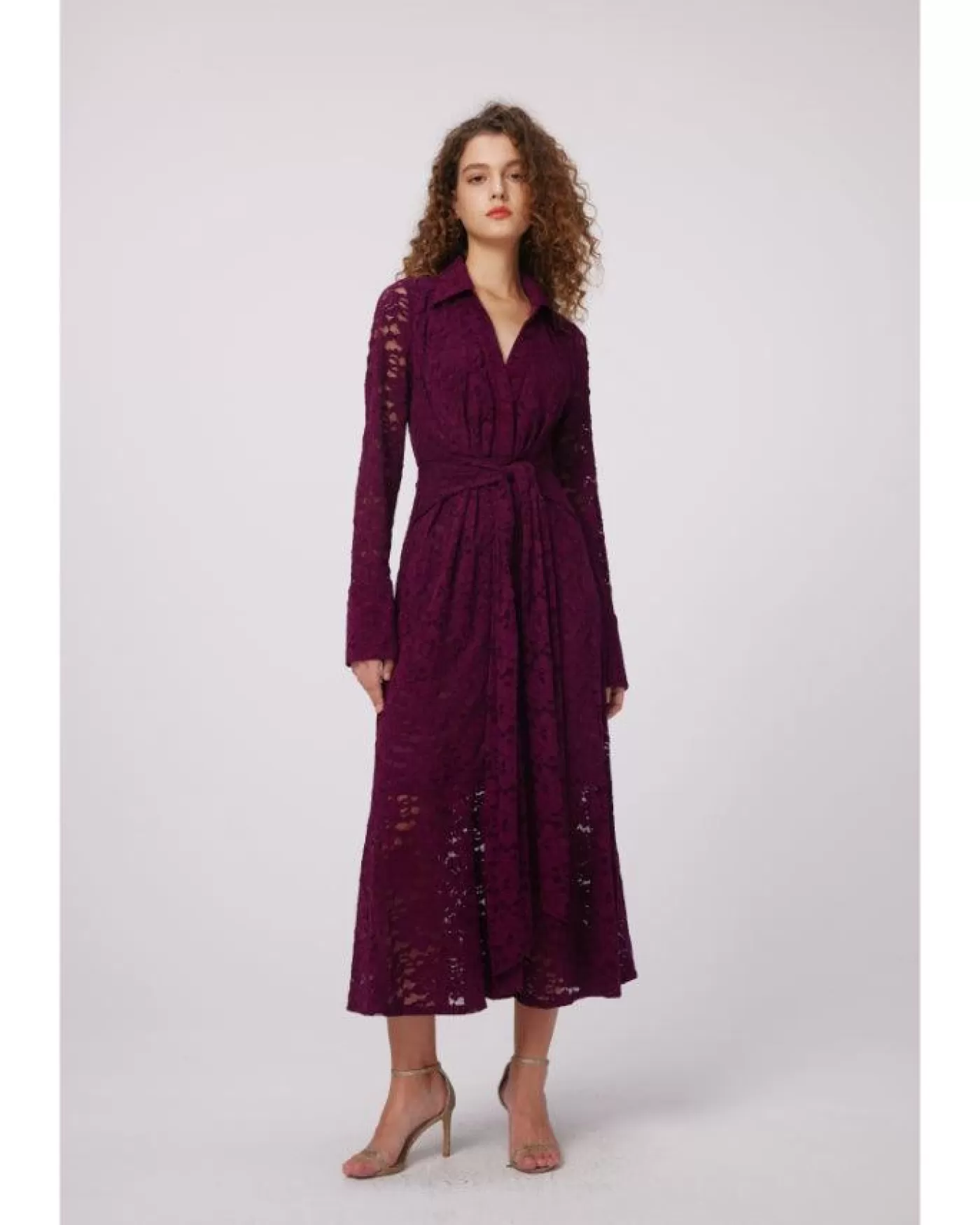 Diane Von Furstenberg Regent Lace Midi Dress VELVETPLUM Clearance